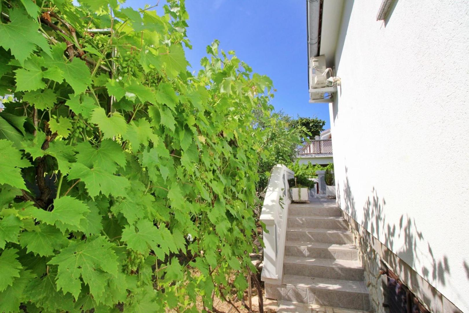 Apartments Zlatica Šilo Esterno foto